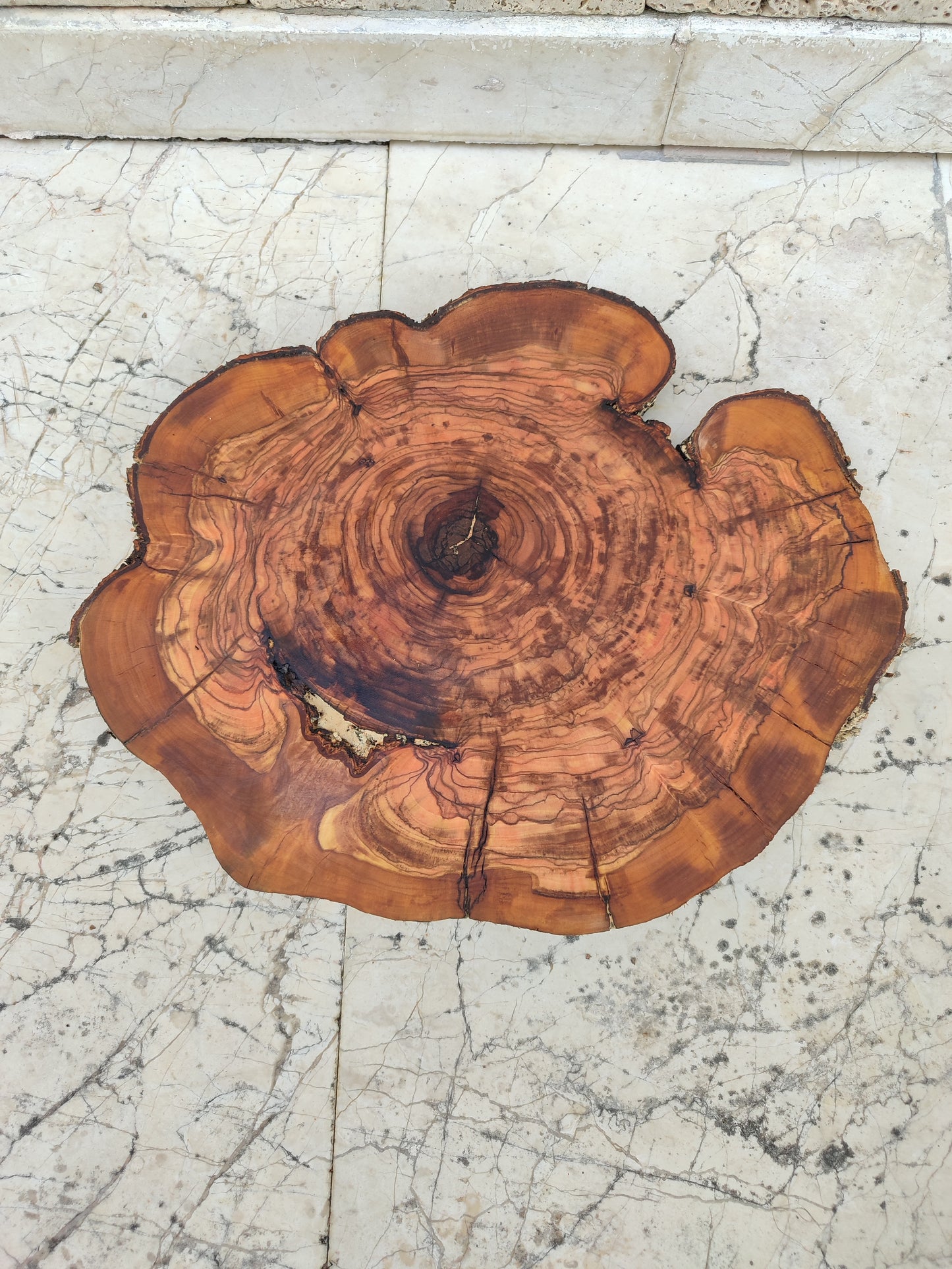 Rare Olive Wood Slab – Live Edge, Unique Grain, Sustainable Luxury for Epoxy, Table & Craft