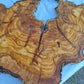 Rare Huge Live Edge Olive Wood Burl Slab 48x52cm - Premium Dry Exotic Lumber for Epoxy Resin Art, Guitar Body & Luxury Coffee Table DIY.