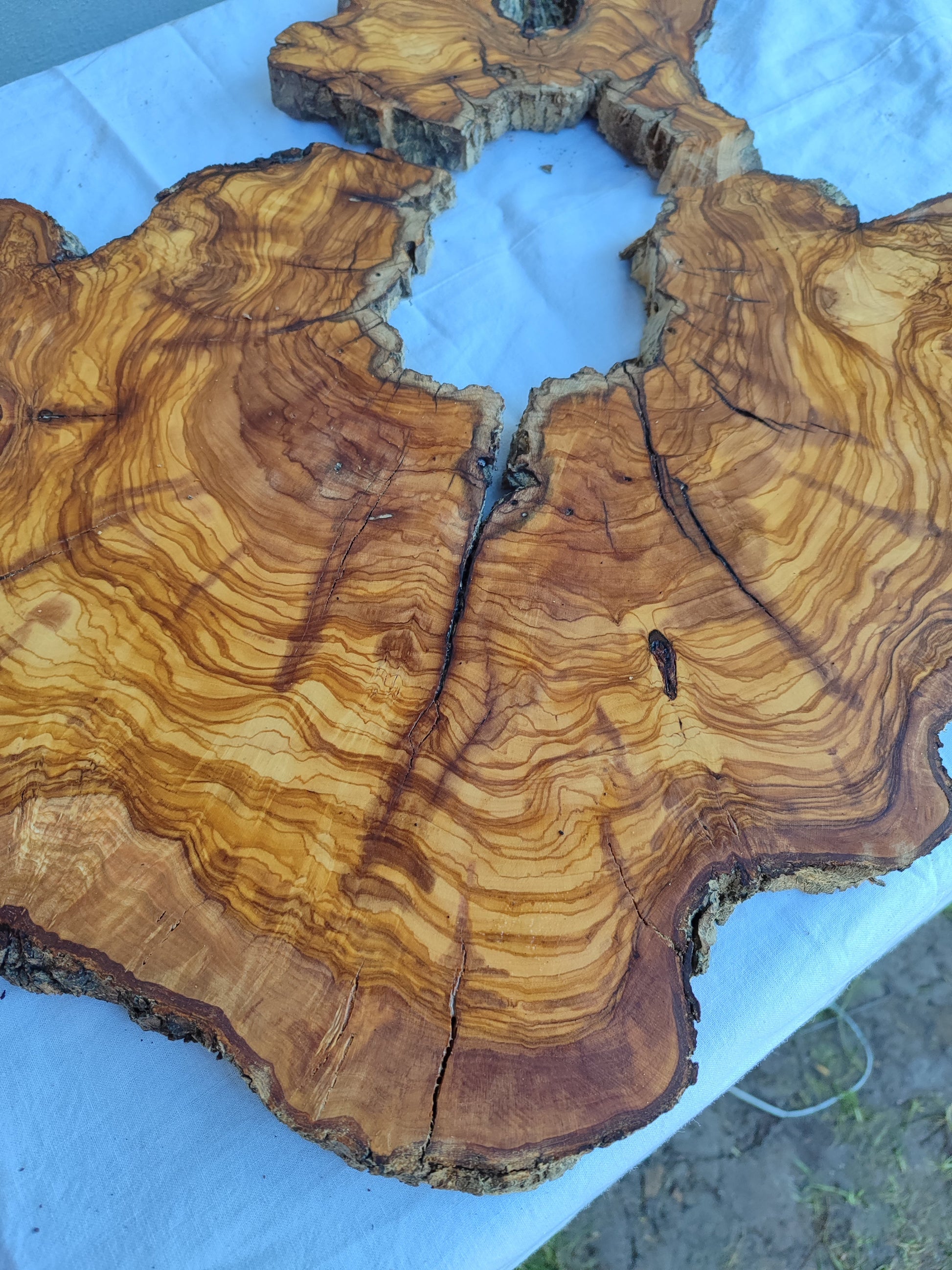 Rare Huge Live Edge Olive Wood Burl Slab 48x52cm - Premium Dry Exotic Lumber for Epoxy Resin Art, Guitar Body & Luxury Coffee Table DIY.