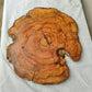 Rare Olive Wood Slab – Live Edge Unique Grain Sustainable Luxury – 39x43x2.5cm Premium Natural Luster Epoxy Friendly