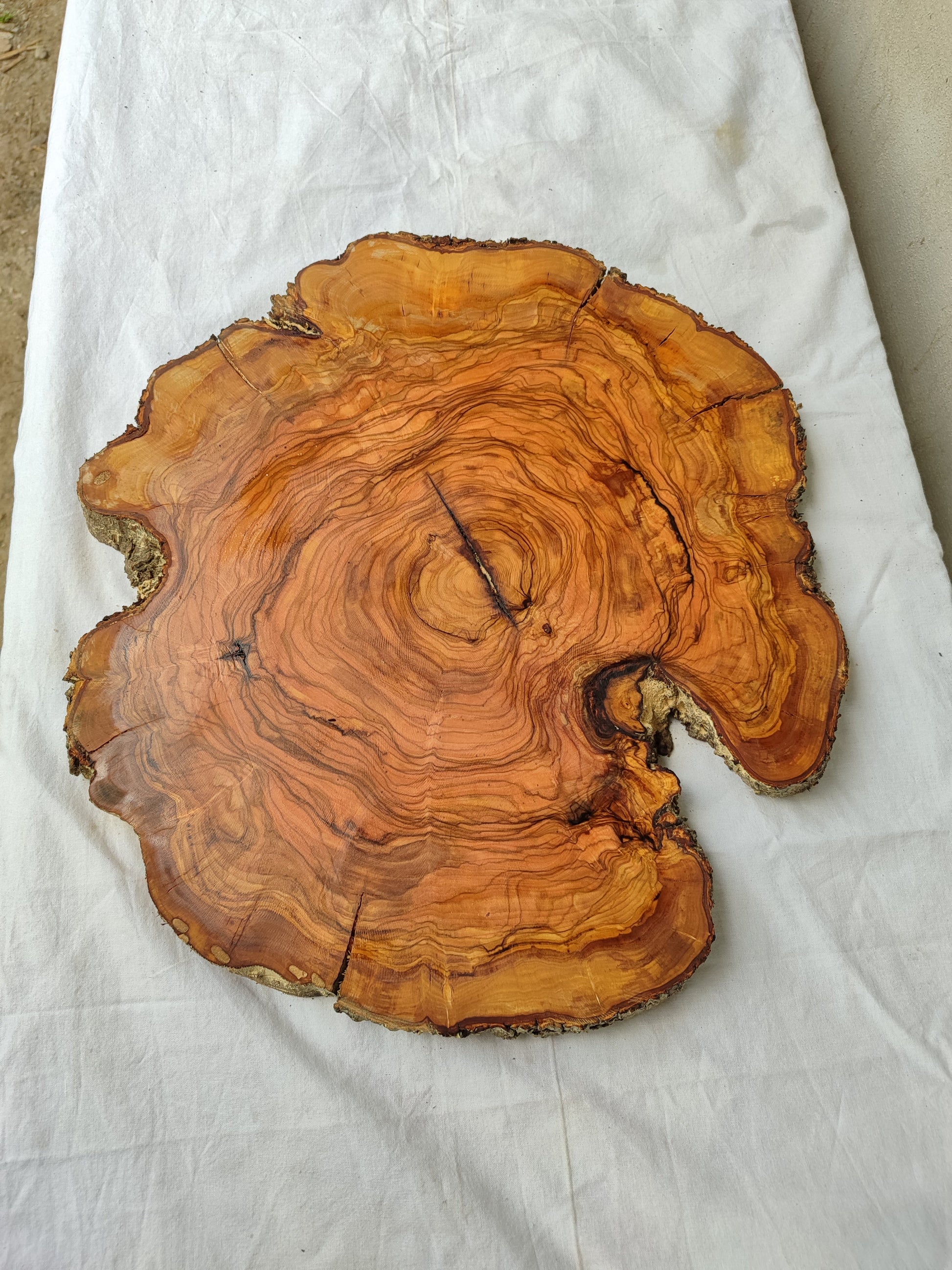 Rare Olive Wood Slab – Live Edge Unique Grain Sustainable Luxury – 39x43x2.5cm Premium Natural Luster Epoxy Friendly