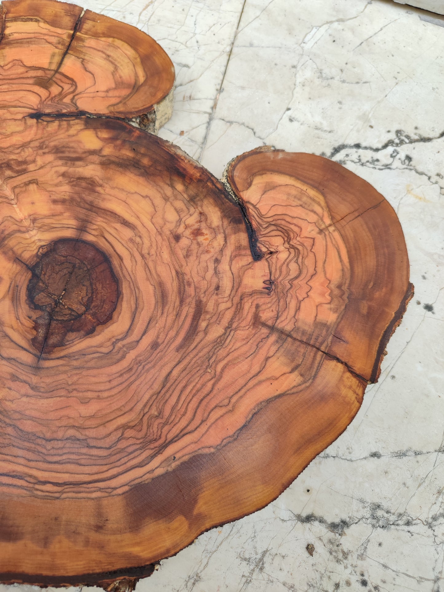 Rare Live Edge Olive Wood Slab – 33x40cm, Unique Grain, Natural Luster, Sustainable Luxury for Epoxy & Crafts