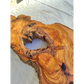 Large Olive Wood Slab 200+ Years | Live Edge Wood Slice 50x34cm for Epoxy.