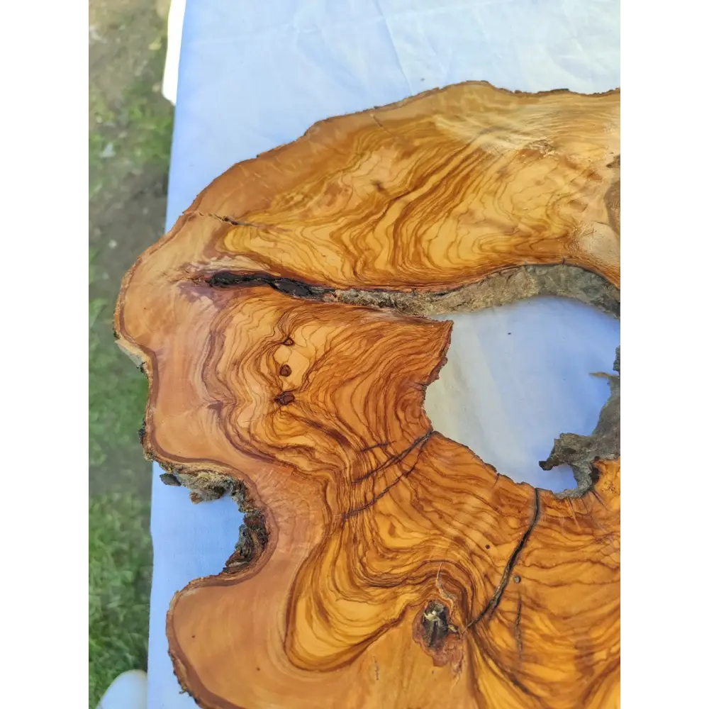 Large Olive Wood Slab 200+ Years | Live Edge Wood Slice 50x34cm for Epoxy.
