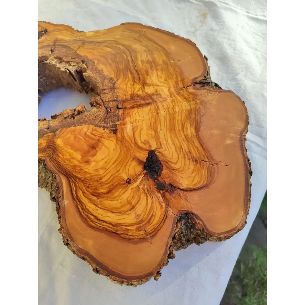 Large Olive Wood Slab 200+ Years | Live Edge Wood Slice 50x34cm for Epoxy.