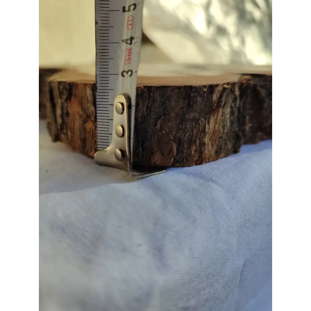 Large Olive Wood Slab 200+ Years | Live Edge Wood Slice 50x34cm for Epoxy.