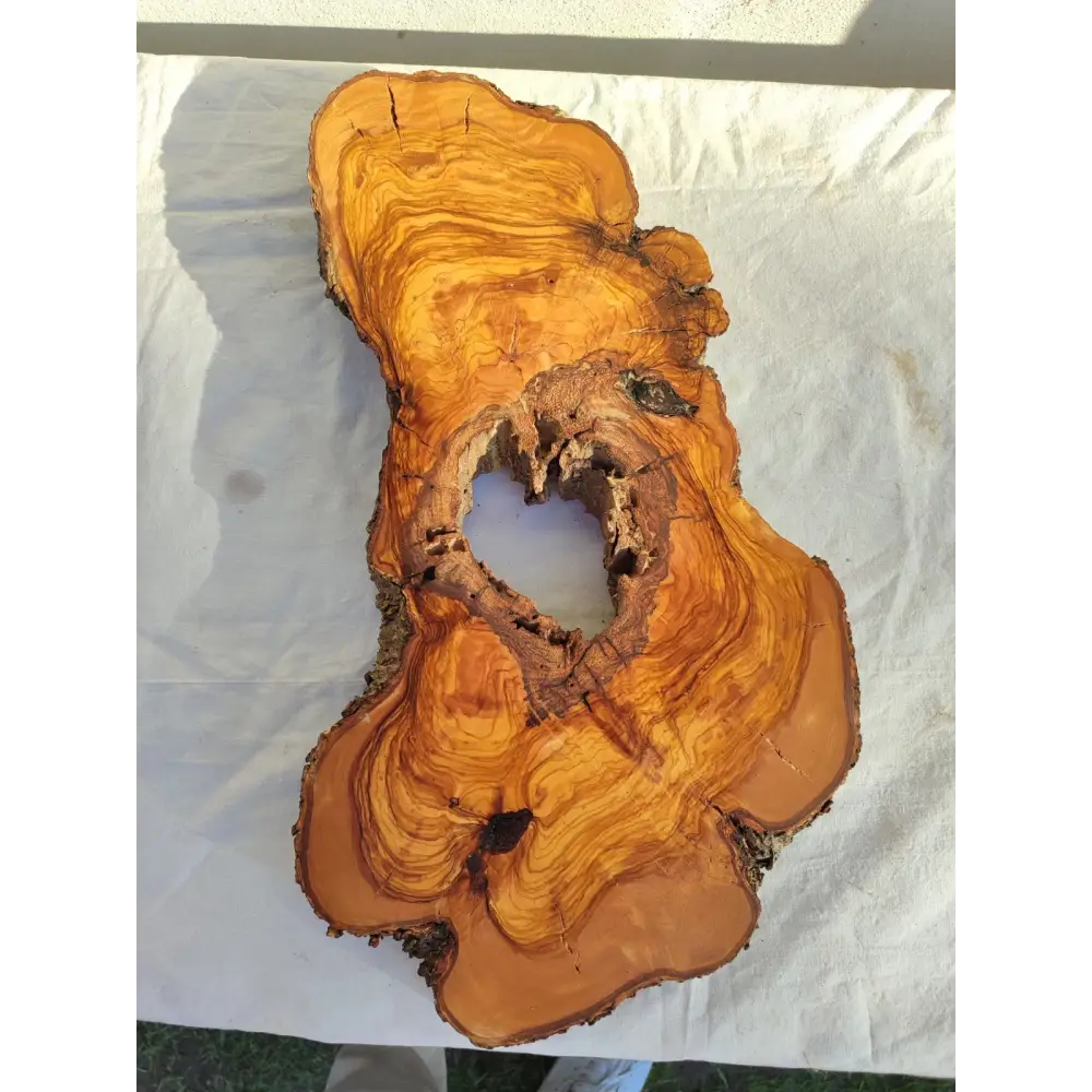 Large Olive Wood Slab 200+ Years | Live Edge Wood Slice 50x34cm for Epoxy.