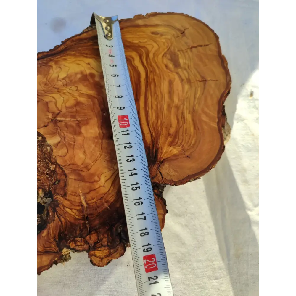 Large Olive Wood Slab 200+ Years | Live Edge Wood Slice 50x34cm for Epoxy.