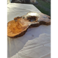 Large Olive Wood Slab 200+ Years | Live Edge Wood Slice 50x34cm for Epoxy.