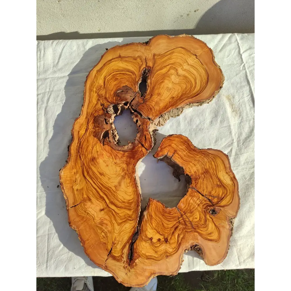 Large Olive Wood Slab 200+ Years | Live Edge Wood Slice 50x34cm for Epoxy.