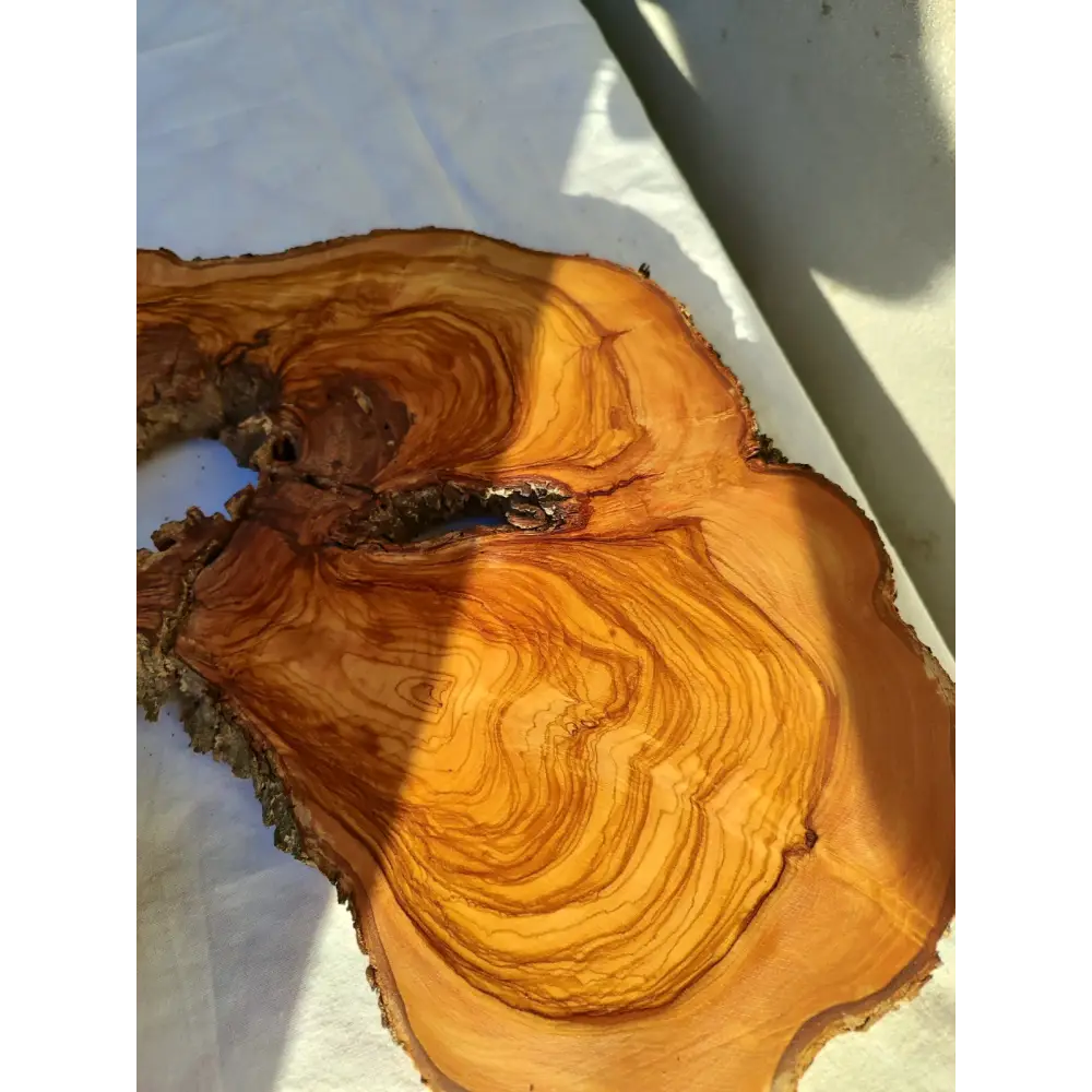 Large Olive Wood Slab 200+ Years | Live Edge Wood Slice 50x34cm for Epoxy.