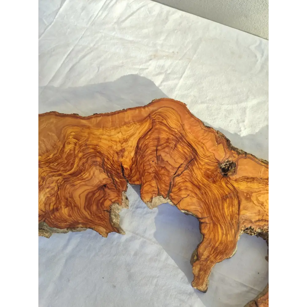 Long Olive Wood Slab | Live Edge Wood Slice for Sculptural Wall Art & Decor.