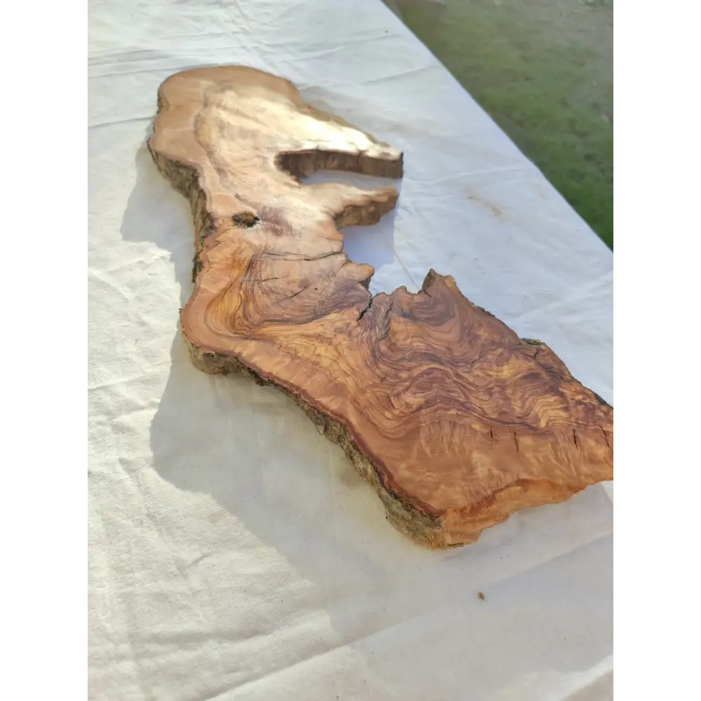 Long Olive Wood Slab | Live Edge Wood Slice for Sculptural Wall Art & Decor.