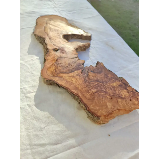 Long Olive Wood Slab | Live Edge Wood Slice for Sculptural Wall Art & Decor.