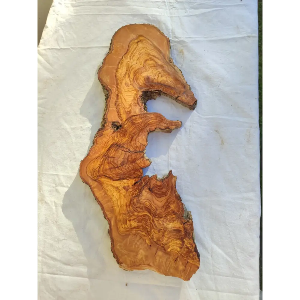 Long Olive Wood Slab | Live Edge Wood Slice for Sculptural Wall Art & Decor.