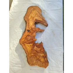 Long Olive Wood Slab | Live Edge Wood Slice for Sculptural Wall Art & Decor.