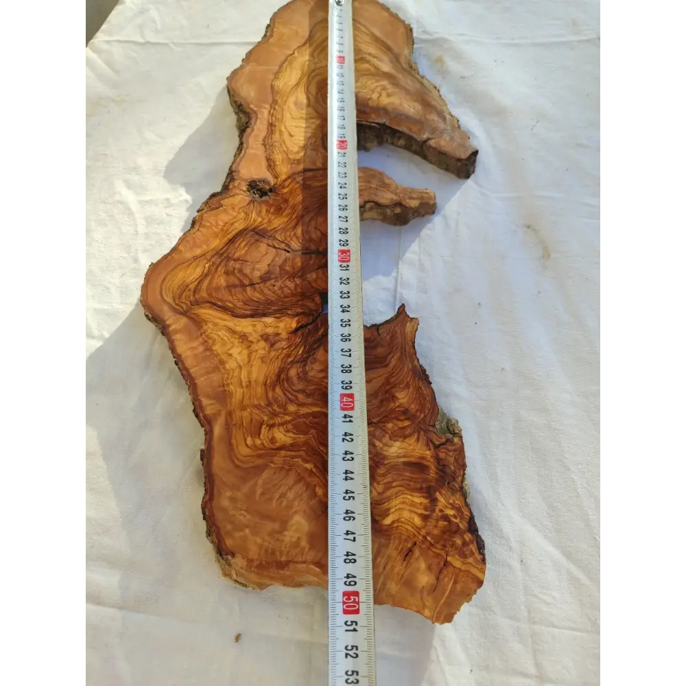 Long Olive Wood Slab | Live Edge Wood Slice for Sculptural Wall Art & Decor.