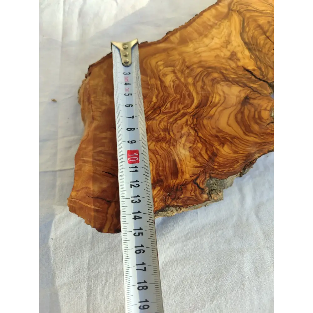Long Olive Wood Slab | Live Edge Wood Slice for Sculptural Wall Art & Decor.