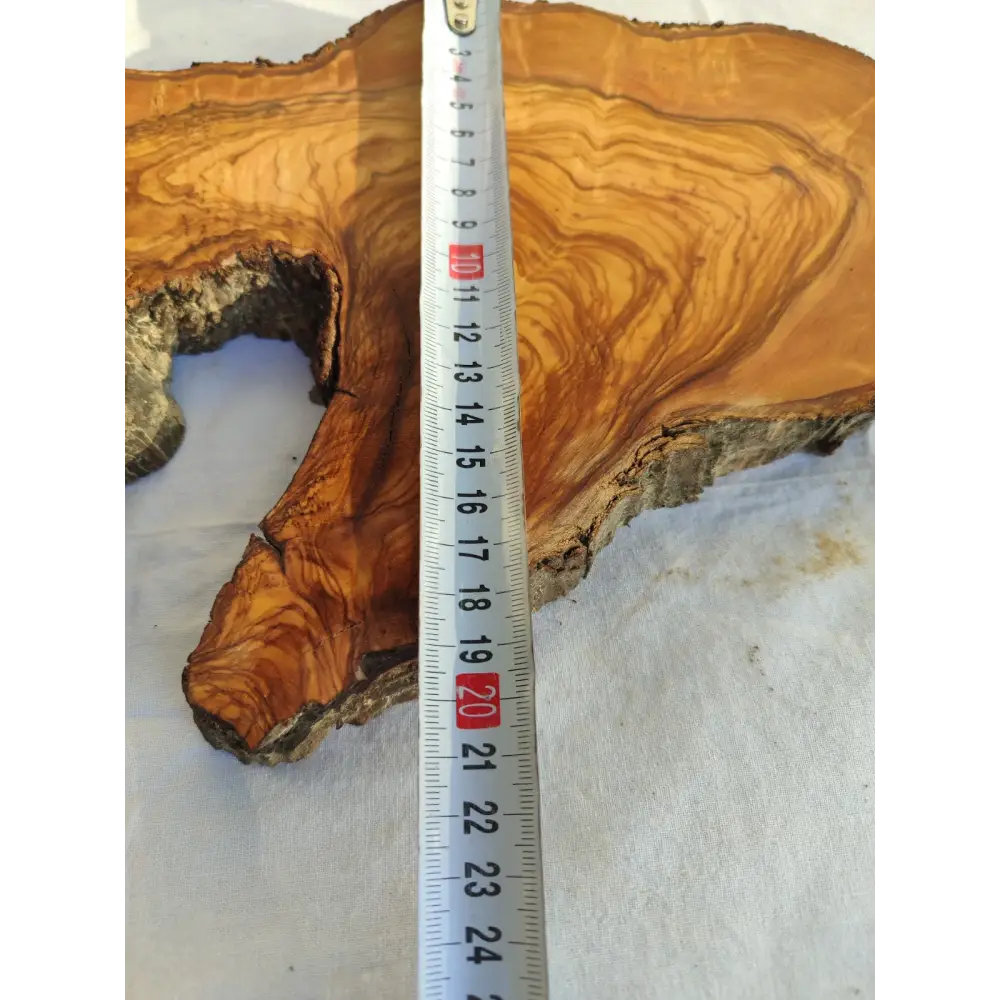 Long Olive Wood Slab | Live Edge Wood Slice for Sculptural Wall Art & Decor.