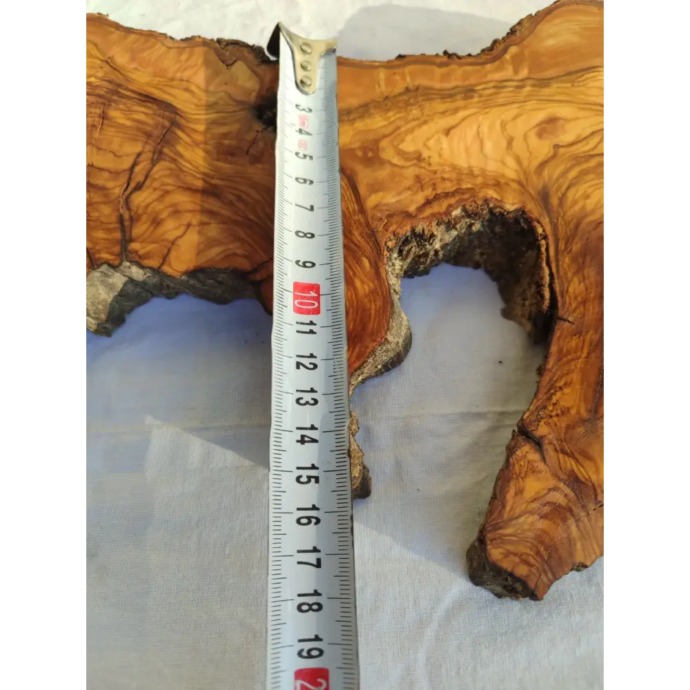 Long Olive Wood Slab | Live Edge Wood Slice for Sculptural Wall Art & Decor.