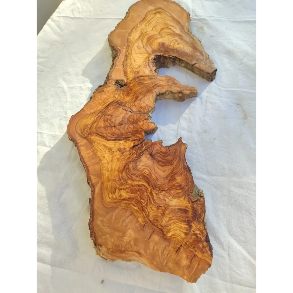 Long Olive Wood Slab | Live Edge Wood Slice for Sculptural Wall Art & Decor.