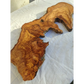 Long Olive Wood Slab | Live Edge Wood Slice for Sculptural Wall Art & Decor.
