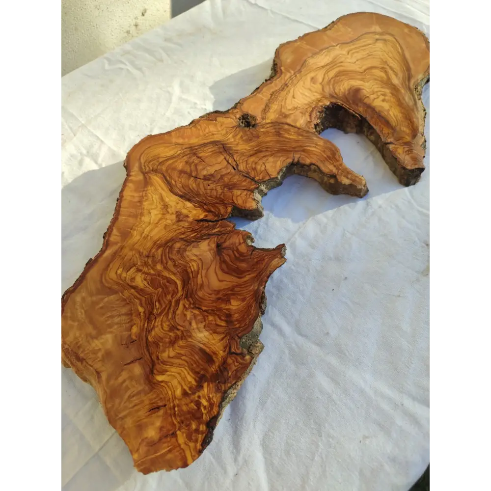 Long Olive Wood Slab | Live Edge Wood Slice for Sculptural Wall Art & Decor.