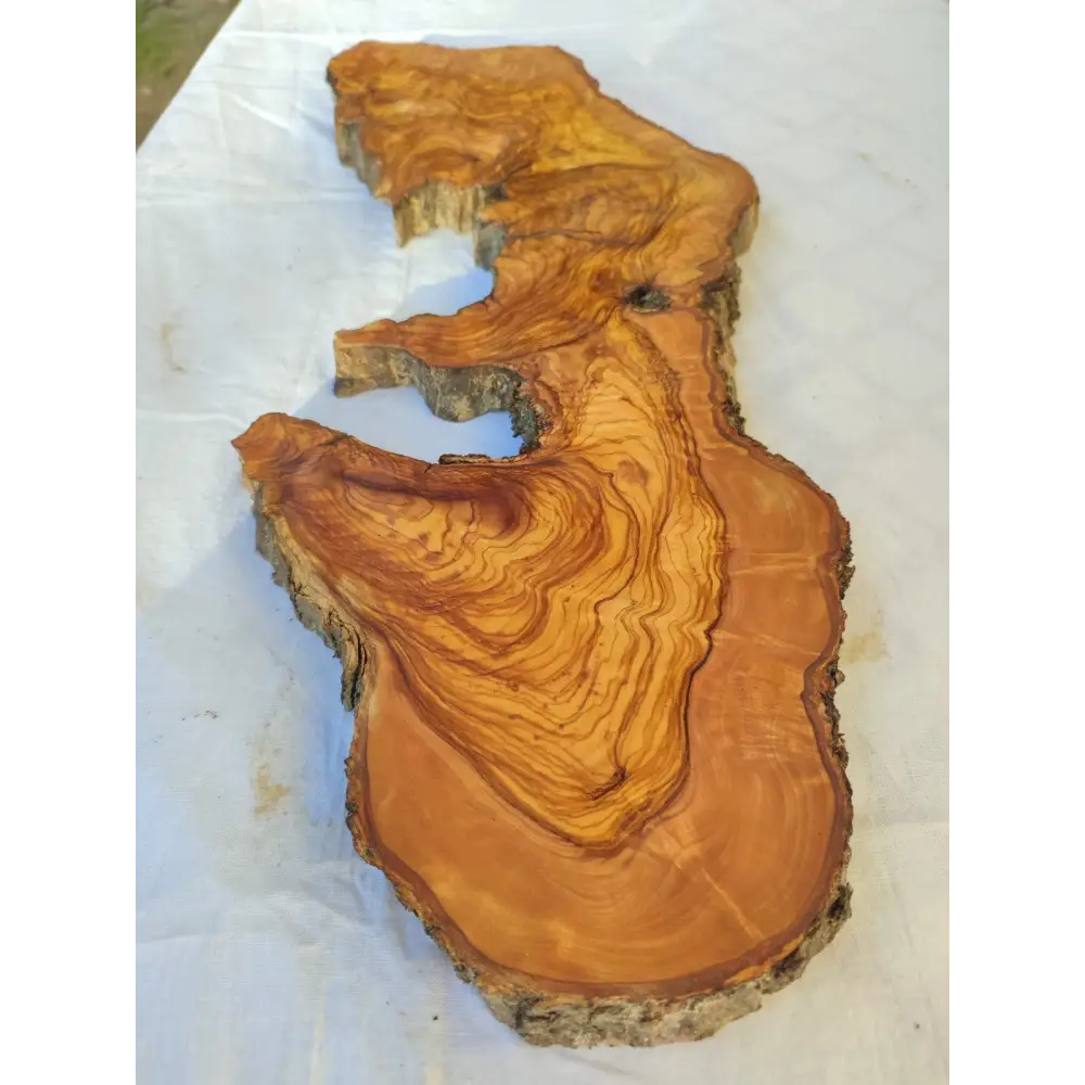 Long Olive Wood Slab | Live Edge Wood Slice for Sculptural Wall Art & Decor.