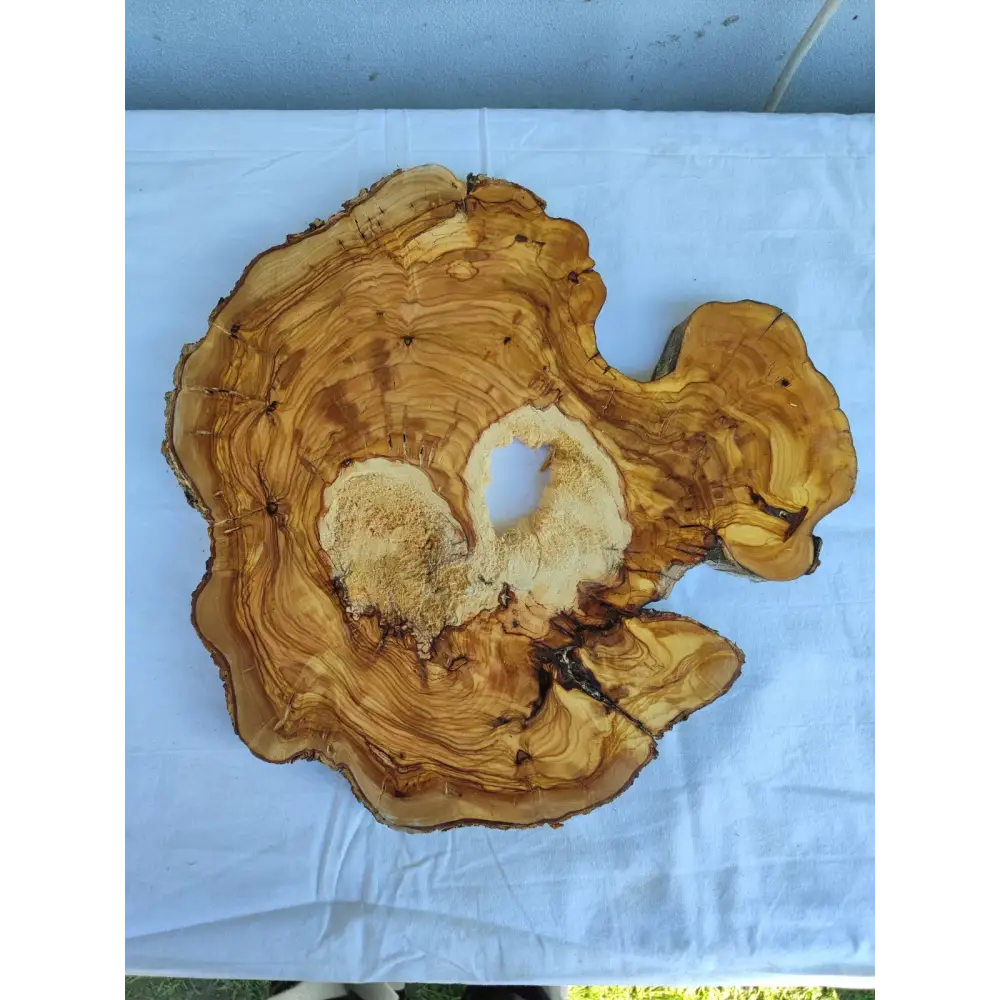 Natural 200+ Year Old Live Edge Wood Slice for Craft & Woodworking.