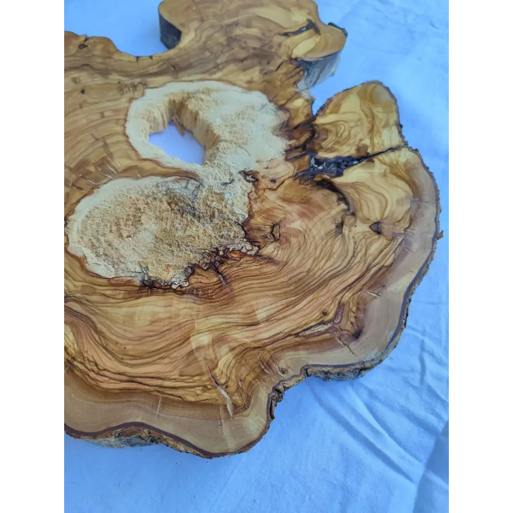 Natural 200+ Year Old Live Edge Wood Slice for Craft & Woodworking.