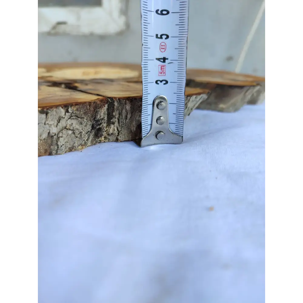 Natural 200+ Year Old Live Edge Wood Slice for Craft & Woodworking.