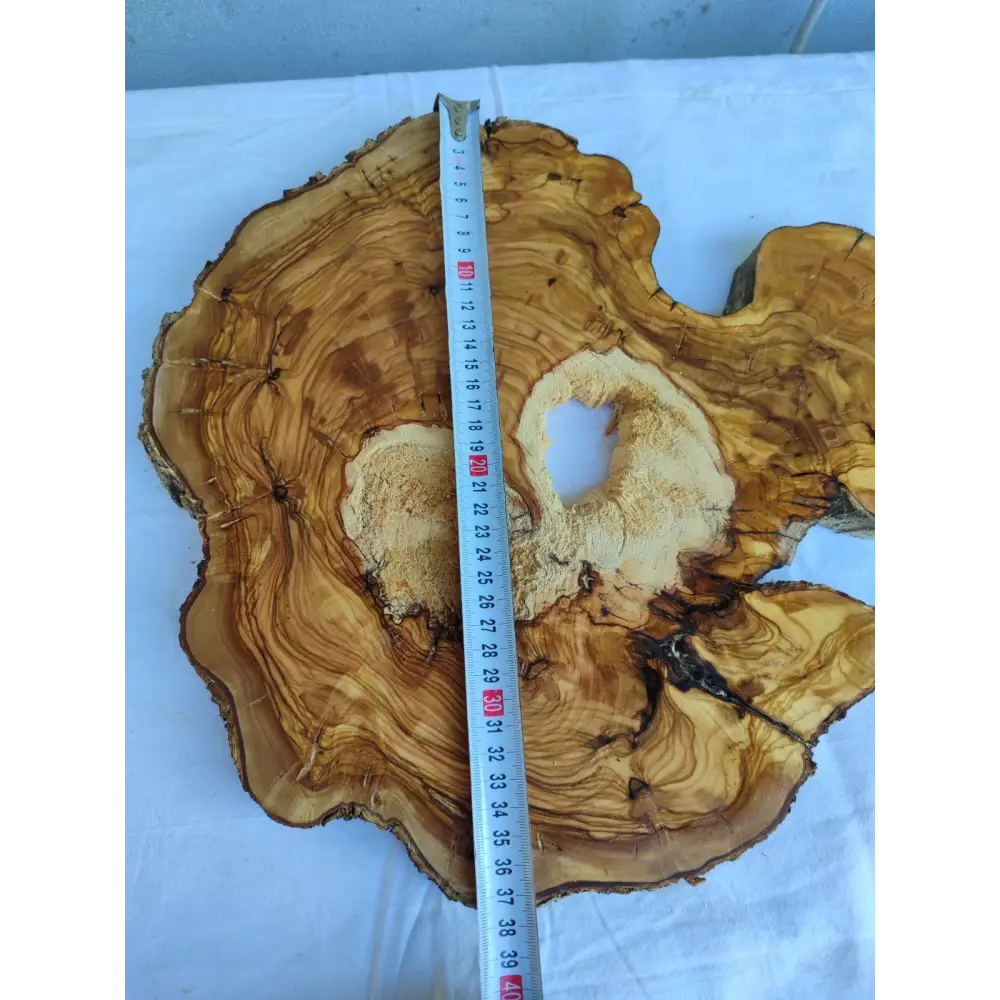 Natural 200+ Year Old Live Edge Wood Slice for Craft & Woodworking.