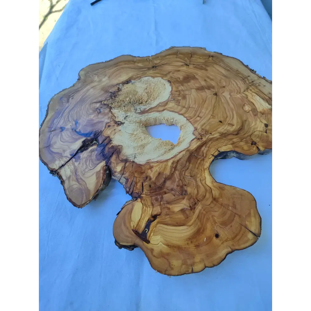 Natural 200+ Year Old Live Edge Wood Slice for Craft & Woodworking.
