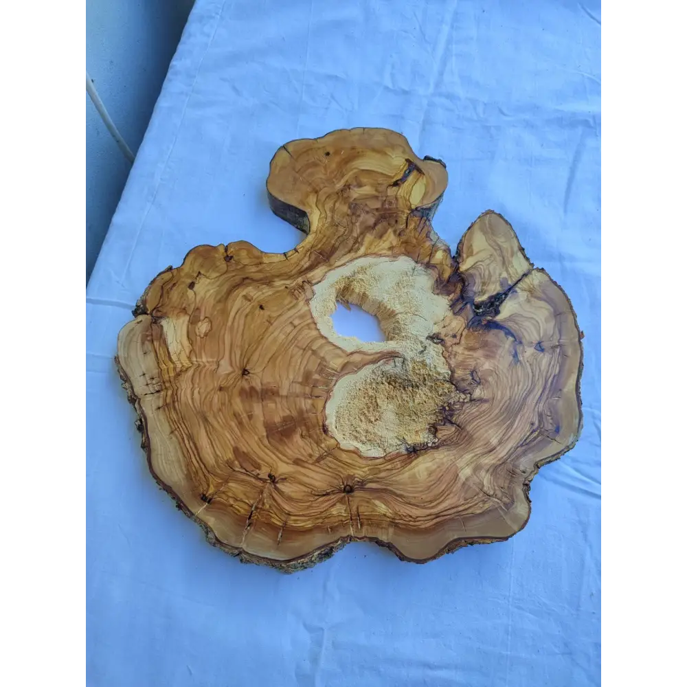 Natural 200+ Year Old Live Edge Wood Slice for Craft & Woodworking.