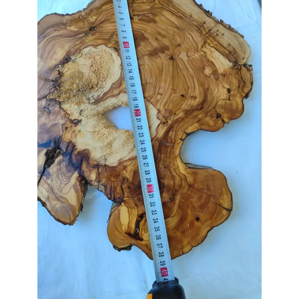 Natural 200+ Year Old Live Edge Wood Slice for Craft & Woodworking.