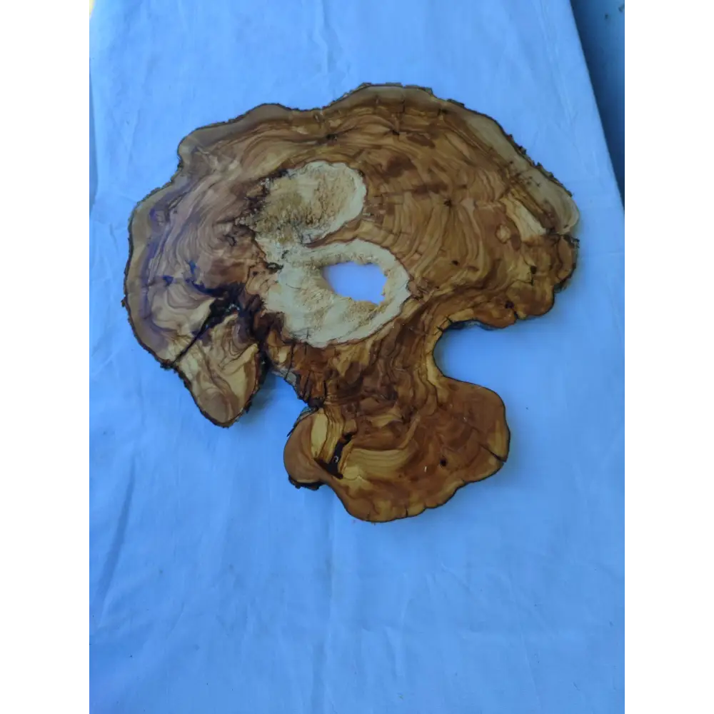 Natural 200+ Year Old Live Edge Wood Slice for Craft & Woodworking.