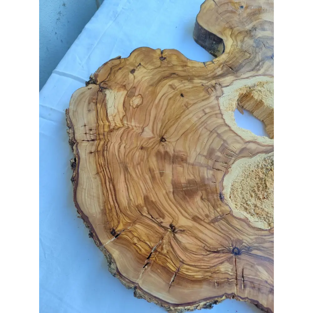 Natural 200+ Year Old Live Edge Wood Slice for Craft & Woodworking.