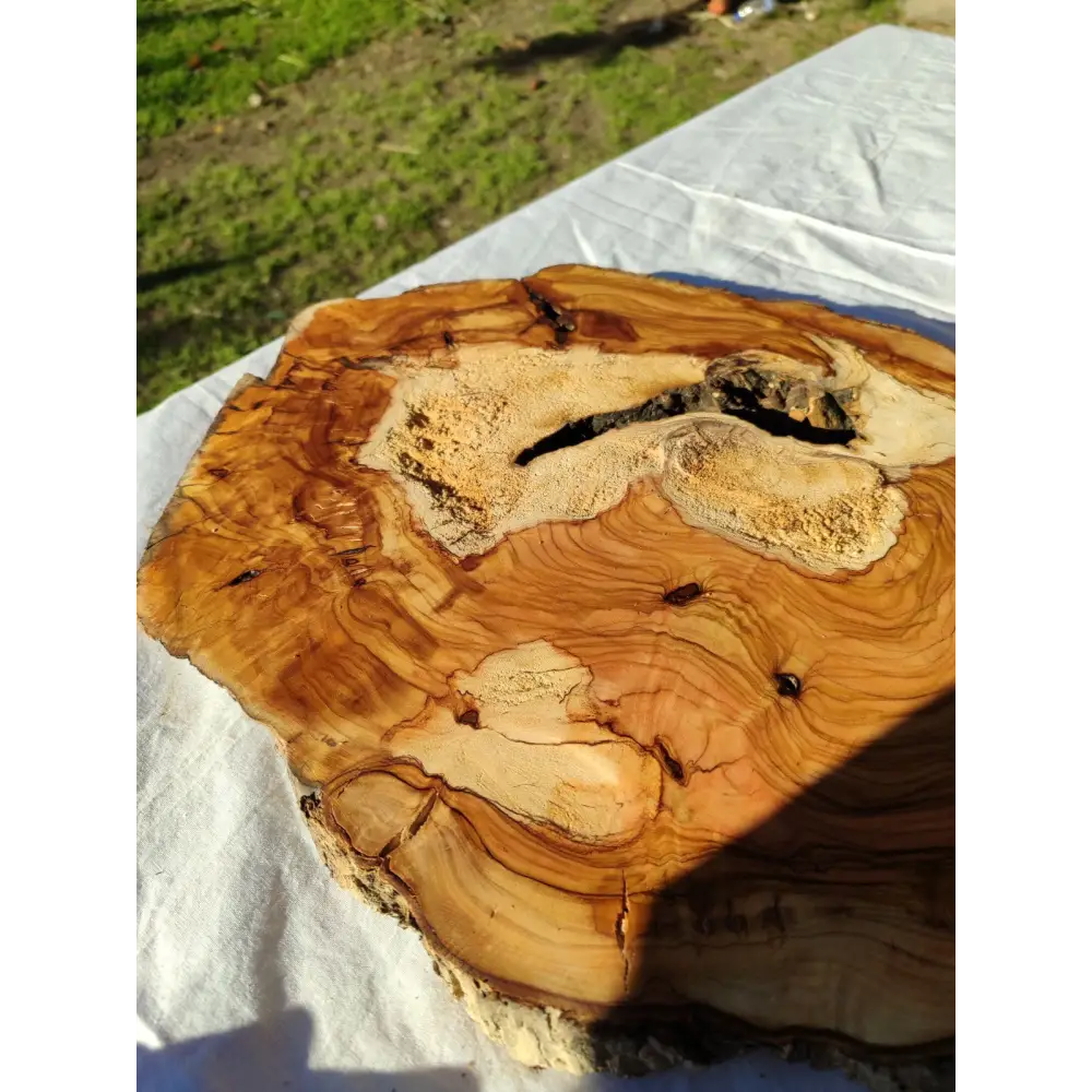 Natural Olive Wood Slab | Live Edge Olive Wood Slice for Craft, Woodworking.