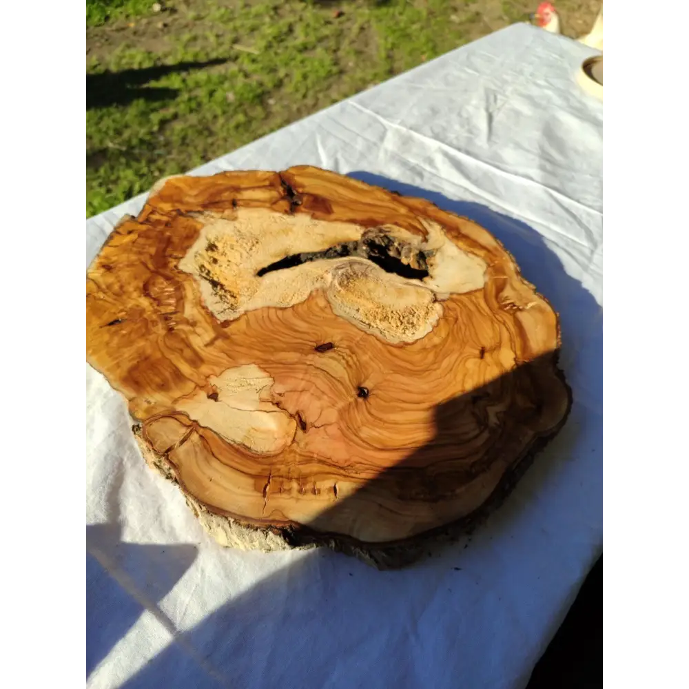 Natural Olive Wood Slab | Live Edge Olive Wood Slice for Craft, Woodworking.