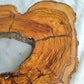 Premium Rare Olive Wood Live Edge Slab – Unique Grain Sustainable Luxury 27x38x3 cm - Olive Generic