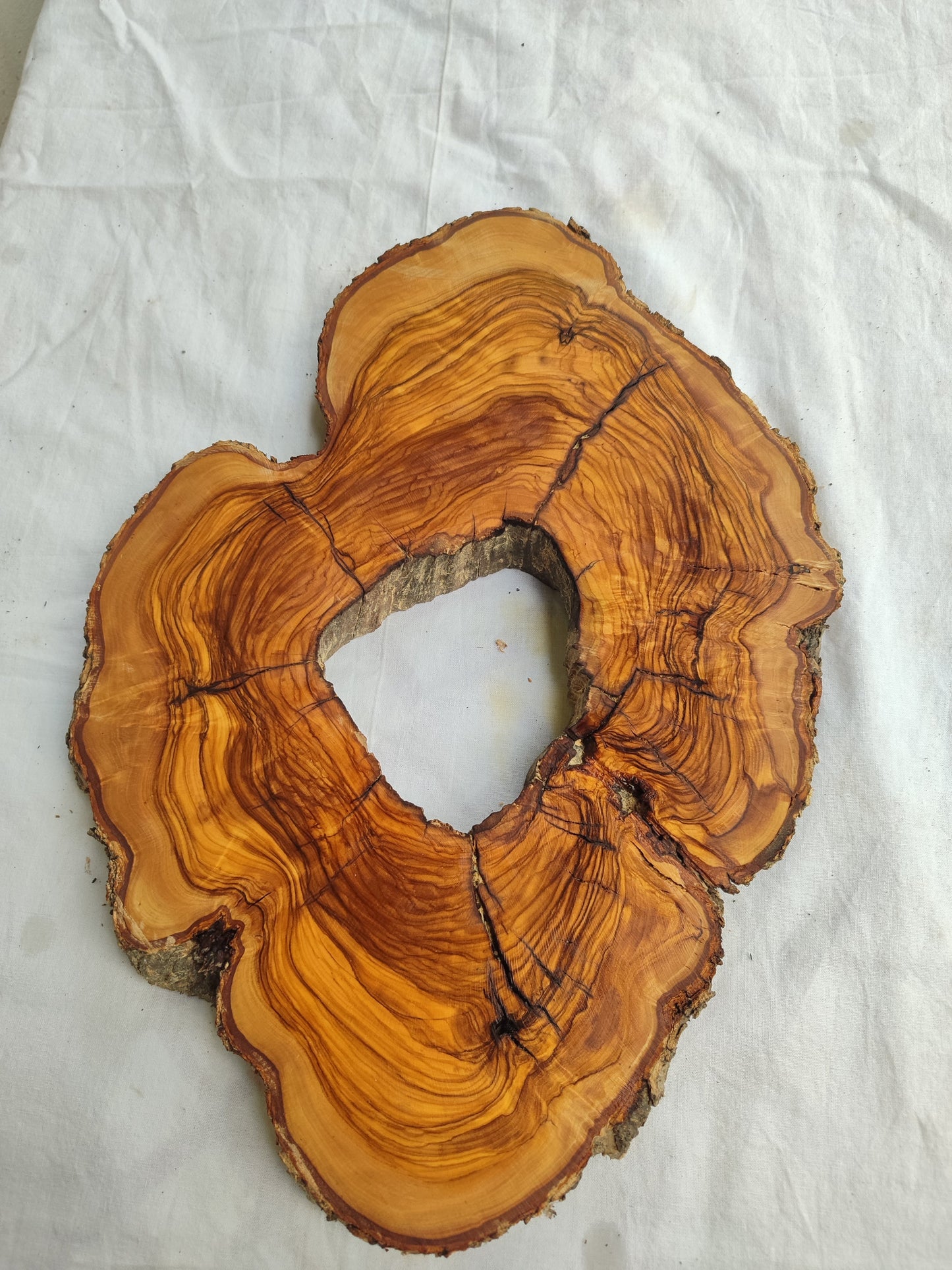 Premium Rare Olive Wood Live Edge Slab – Unique Grain Sustainable Luxury 27x38x3 cm - Olive Generic
