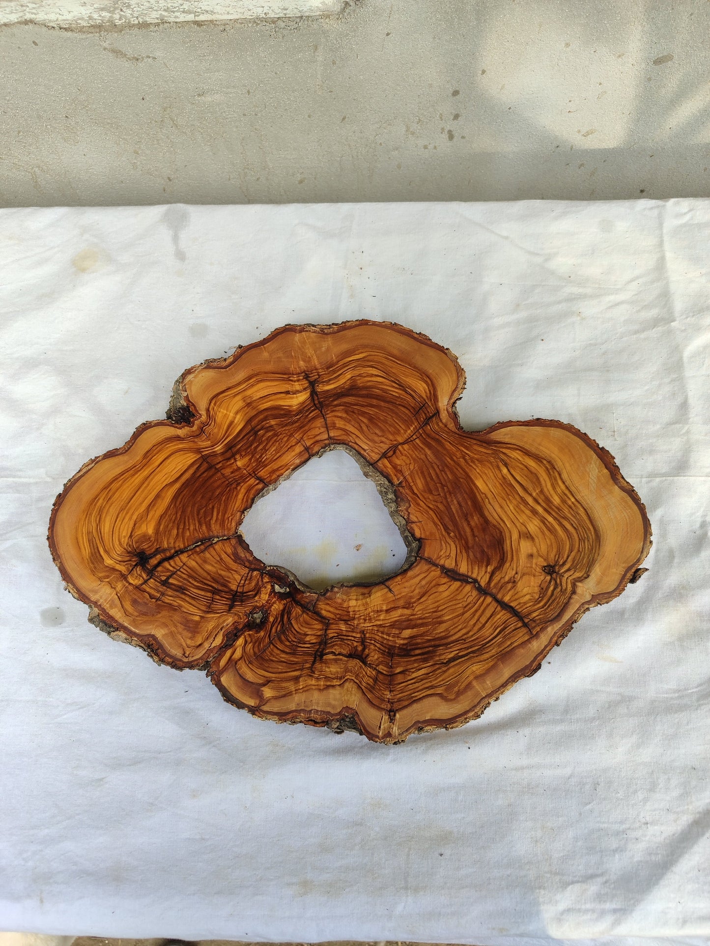 Premium Rare Olive Wood Live Edge Slab – Unique Grain Sustainable Luxury 27x38x3 cm - Olive Generic