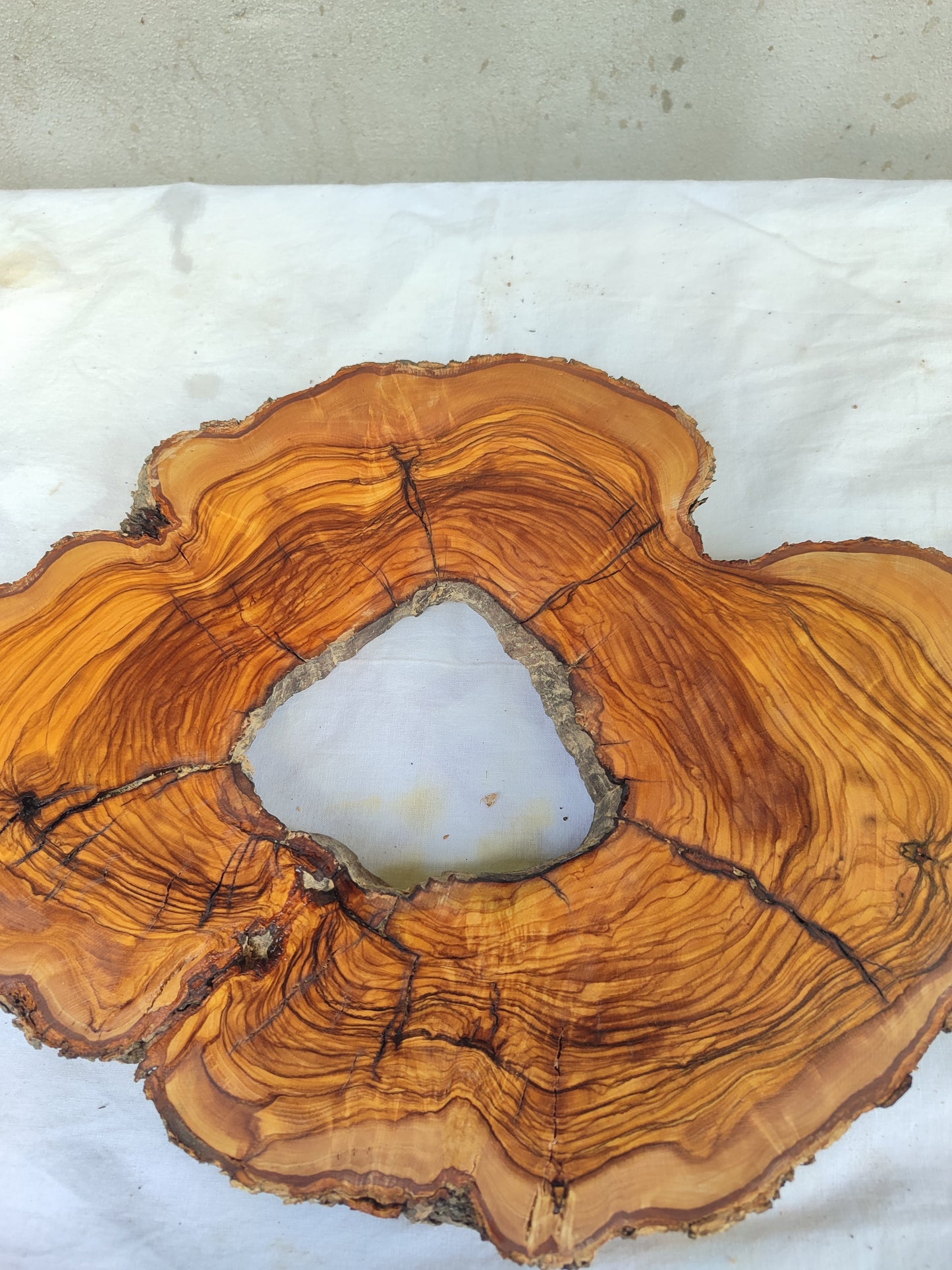 Premium Rare Olive Wood Live Edge Slab – Unique Grain Sustainable Luxury 27x38x3 cm - Olive Generic