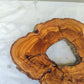 Premium Rare Olive Wood Live Edge Slab – Unique Grain Sustainable Luxury 27x38x3 cm - Olive Generic