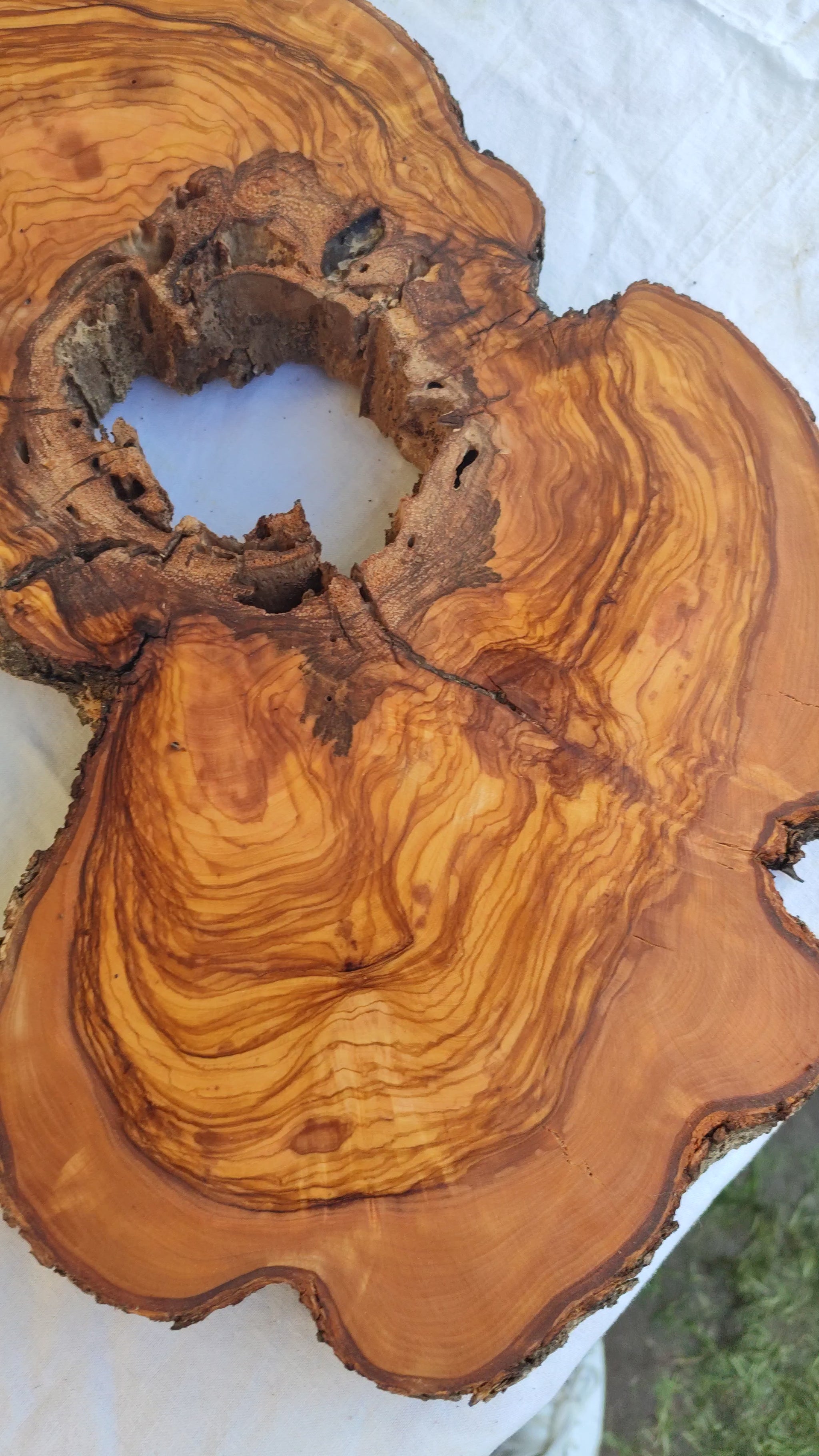 200+ Year Old Olive Wood Slab | Live Edge Olive Wood Slice with Natural Void for Epoxy Art.