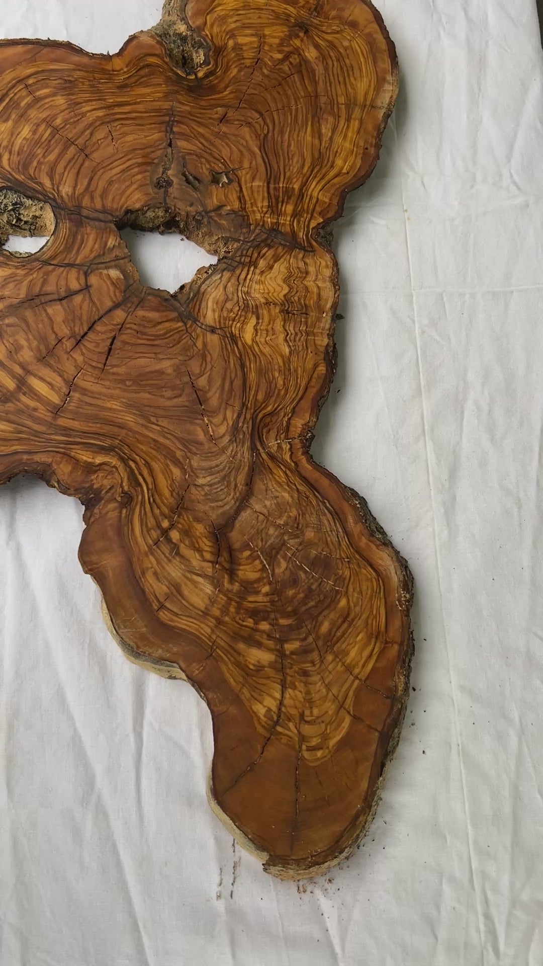 Rare Olive Wood Slab 53x30cm Live Edge for Epoxy Resin Art, Luxury Coffee Table & Clock Making | Super Dry 3% Moisture Unique Grain DIY.