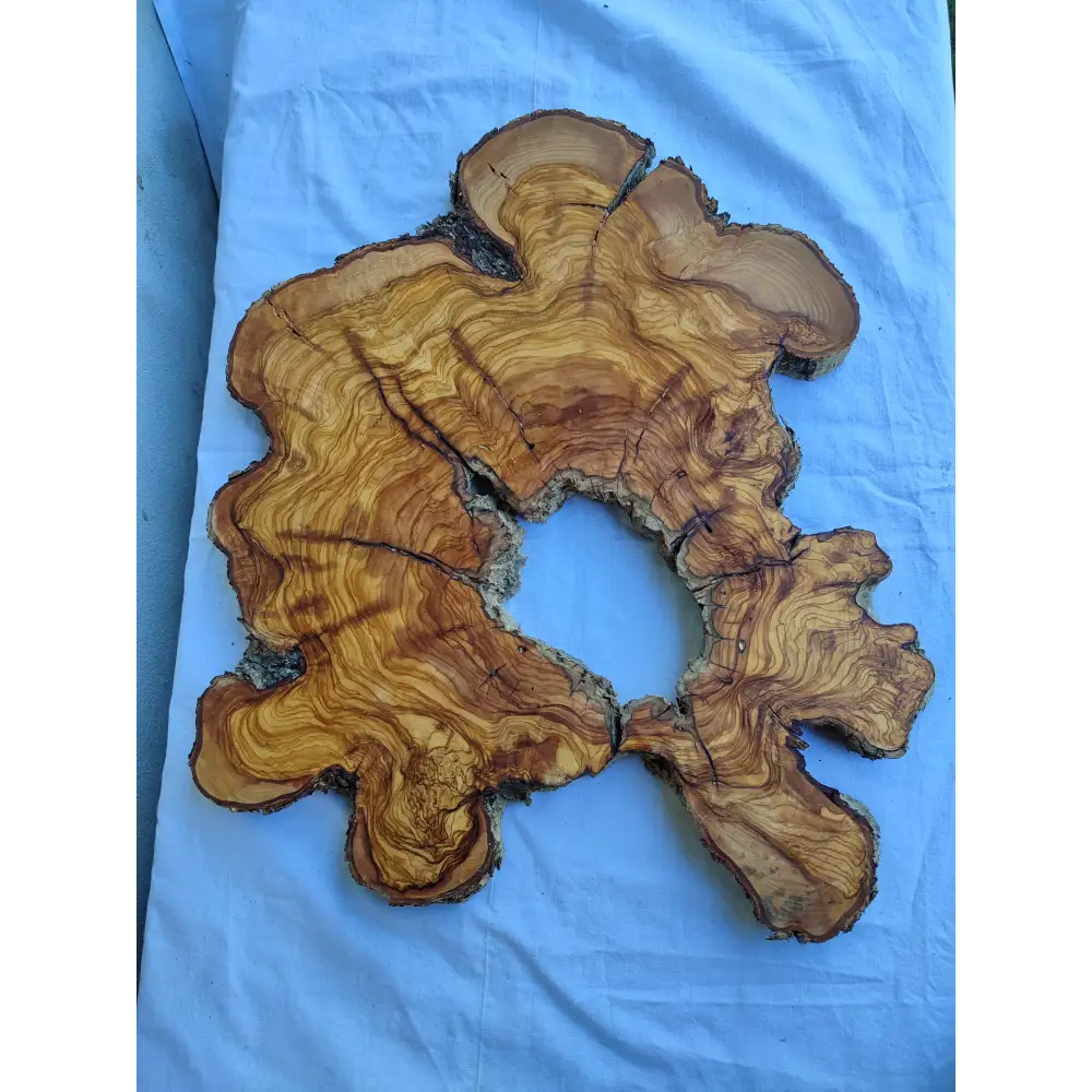 Rare 300+ Year Old Olive Wood Slab 17x20" - Live Edge for Epoxy Resin & Charcuterie - Kiln Dried Sustainable Luxury DIY Art.