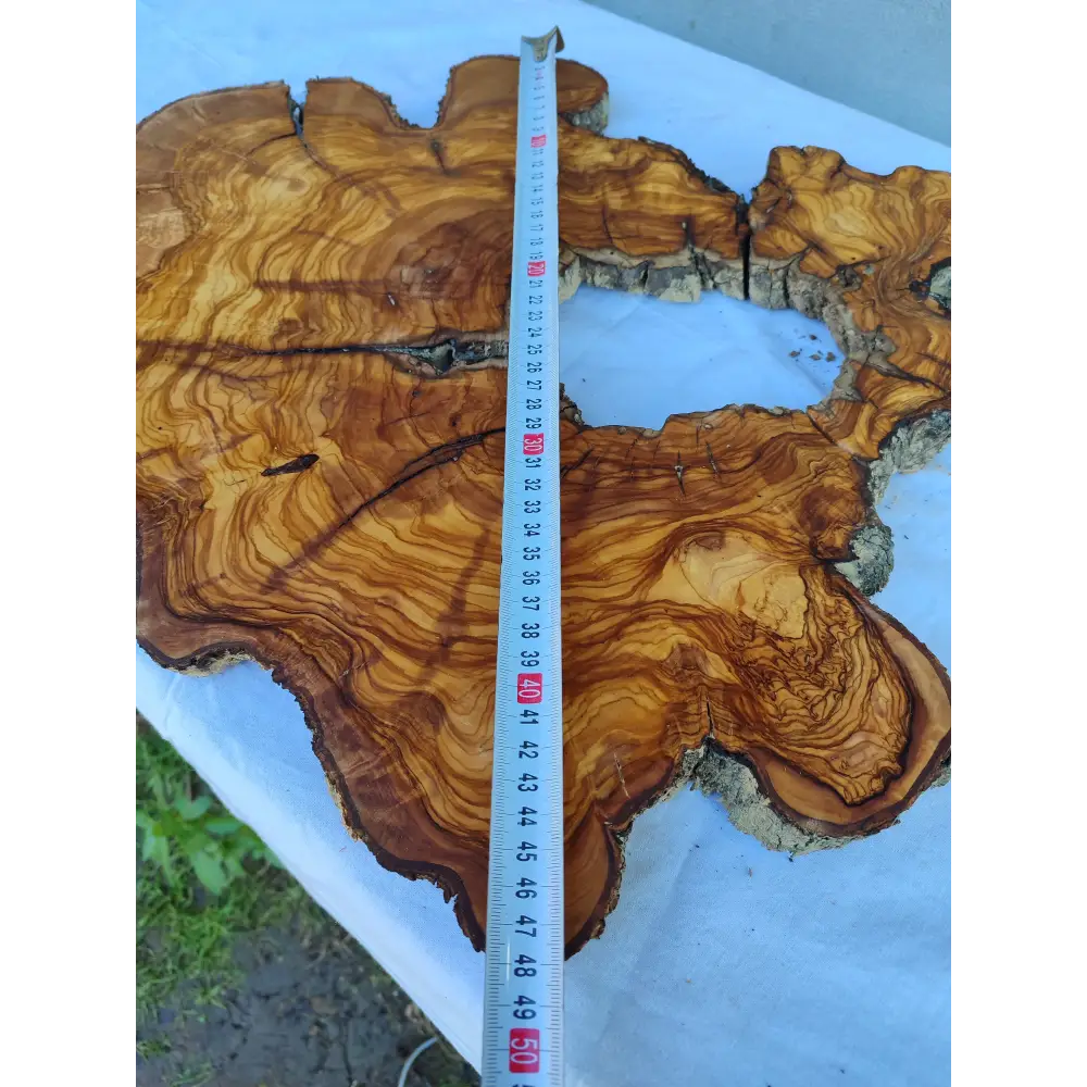 Rare Huge Live Edge Olive Wood Burl Slab 48x52cm - Premium Dry Exotic Lumber for Epoxy Resin Art, Guitar Body & Luxury Coffee Table DIY.