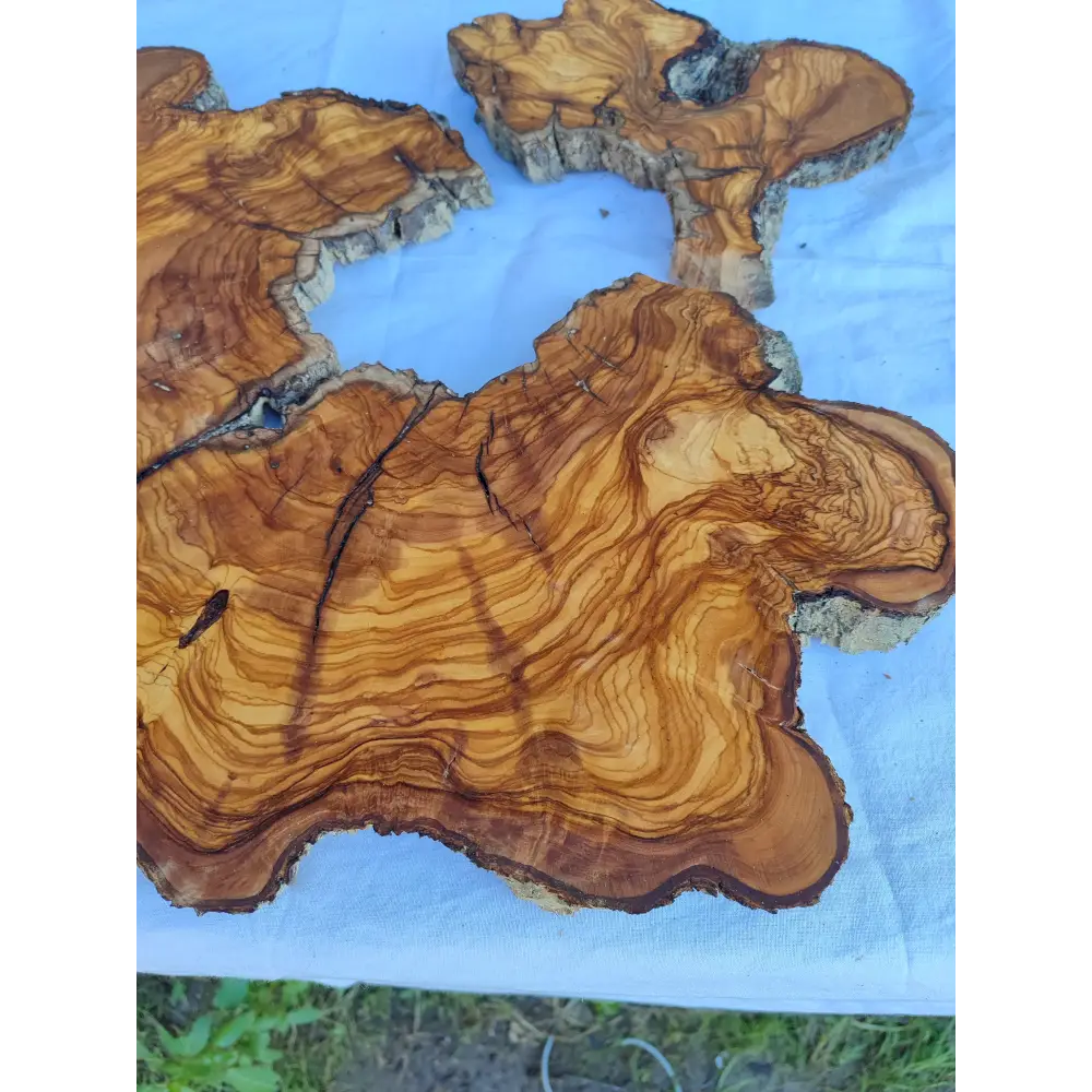 Rare Huge Live Edge Olive Wood Burl Slab 48x52cm - Premium Dry Exotic Lumber for Epoxy Resin Art, Guitar Body & Luxury Coffee Table DIY.
