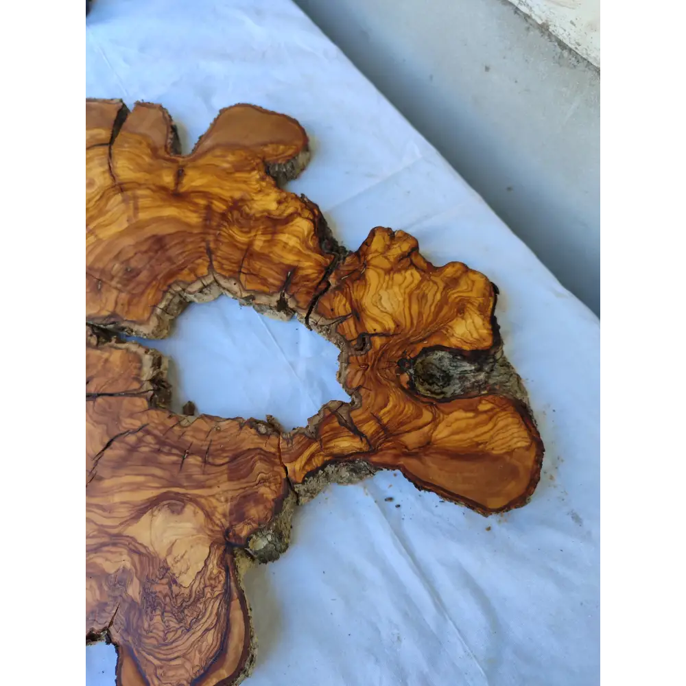 Rare Huge Live Edge Olive Wood Burl Slab 48x52cm - Premium Dry Exotic Lumber for Epoxy Resin Art, Guitar Body & Luxury Coffee Table DIY.